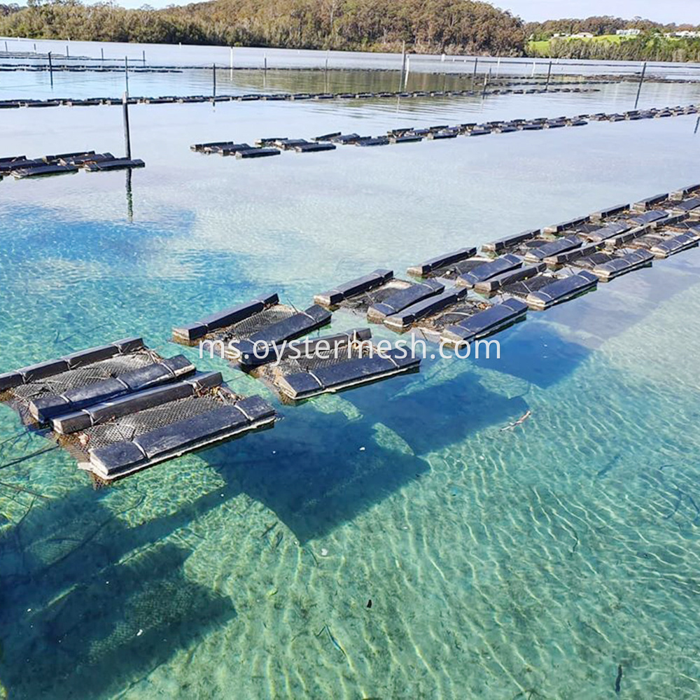 Foam Oyster Floating Cages